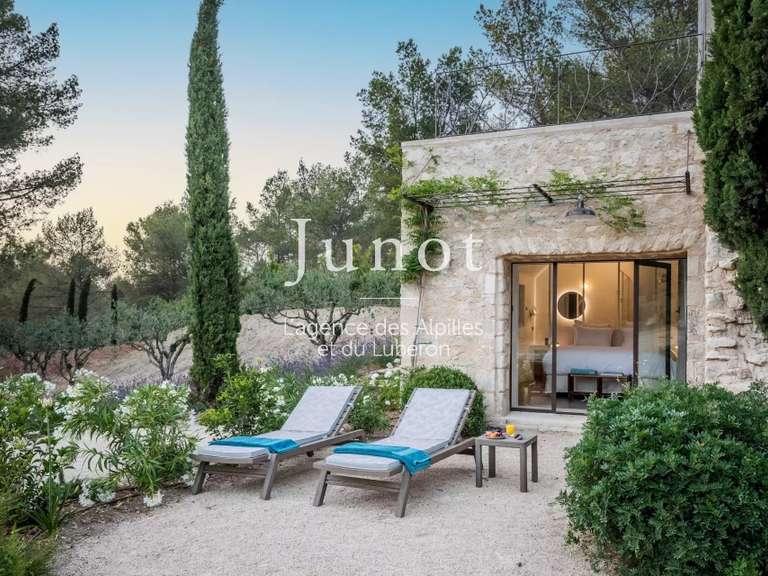 Maison Saint-Rémy-de-Provence - 4 chambres - 250m²