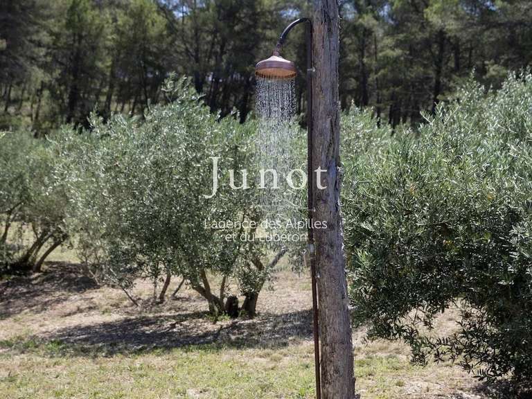 Maison Saint-Rémy-de-Provence - 4 chambres - 250m²