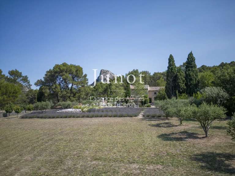 Maison Saint-Rémy-de-Provence - 4 chambres - 250m²