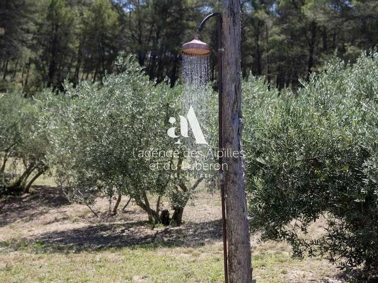 House Saint-Rémy-de-Provence - 4 bedrooms - 250m²