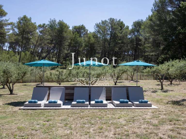 Maison Saint-Rémy-de-Provence - 4 chambres - 250m²