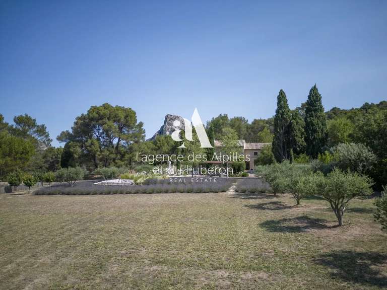 House Saint-Rémy-de-Provence - 4 bedrooms - 250m²