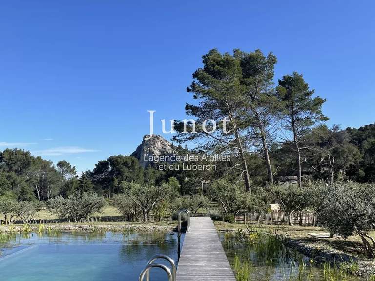 Maison Saint-Rémy-de-Provence - 4 chambres - 250m²