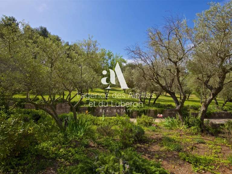 House Saint-Rémy-de-Provence - 8 bedrooms - 400m²