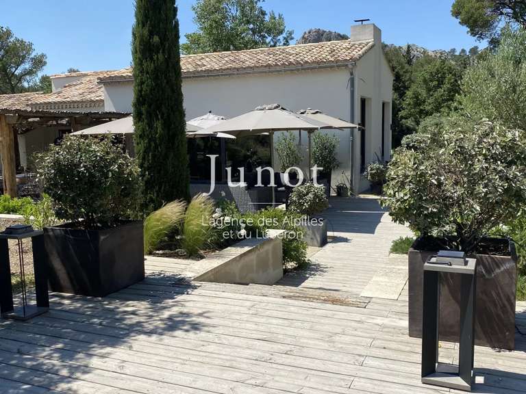 Maison Saint-Rémy-de-Provence - 4 chambres - 7000m²