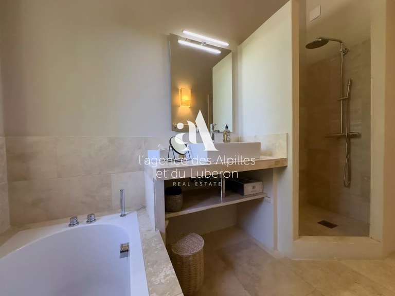 House Saint-Rémy-de-Provence - 5 bedrooms - 250m²