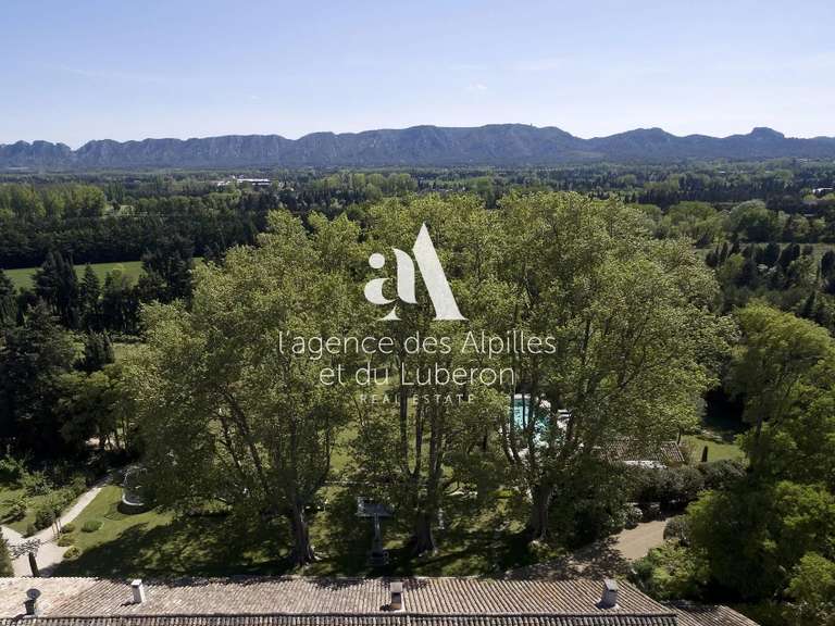 House Saint-Rémy-de-Provence - 10 bedrooms - 30000m²