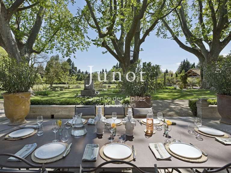 Maison Saint-Rémy-de-Provence - 10 chambres - 30000m²