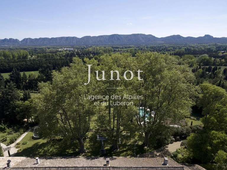 Maison Saint-Rémy-de-Provence - 10 chambres - 30000m²