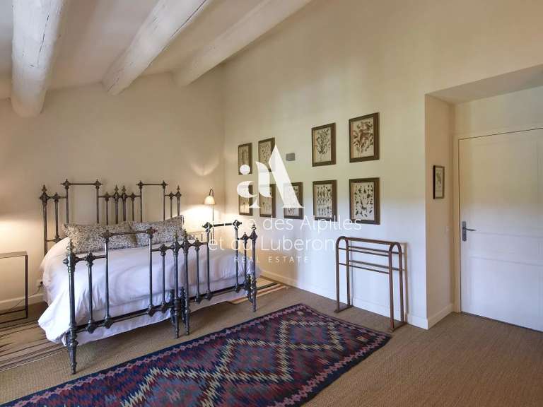 House Saint-Rémy-de-Provence - 10 bedrooms - 30000m²