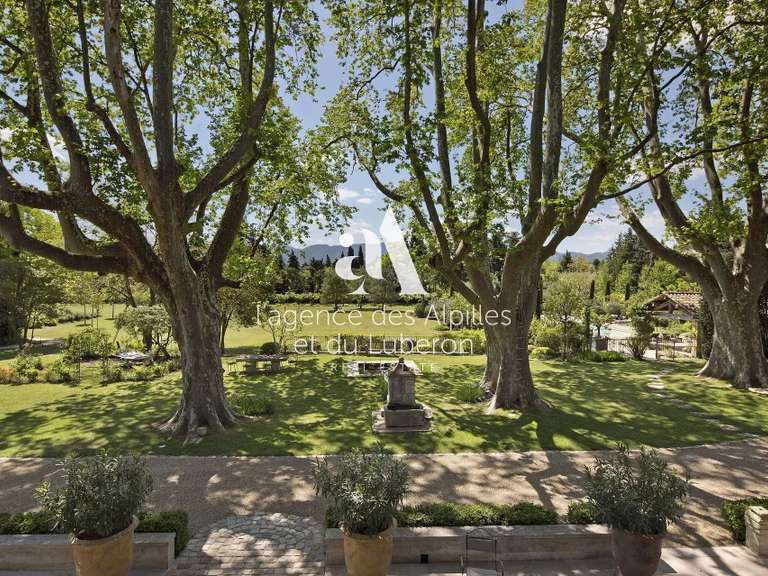 House Saint-Rémy-de-Provence - 10 bedrooms - 30000m²