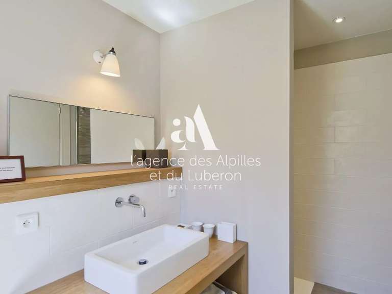 House Saint-Rémy-de-Provence - 7 bedrooms - 10000m²