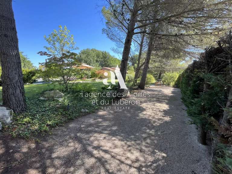 House Saint-Rémy-de-Provence - 6 bedrooms - 300m²
