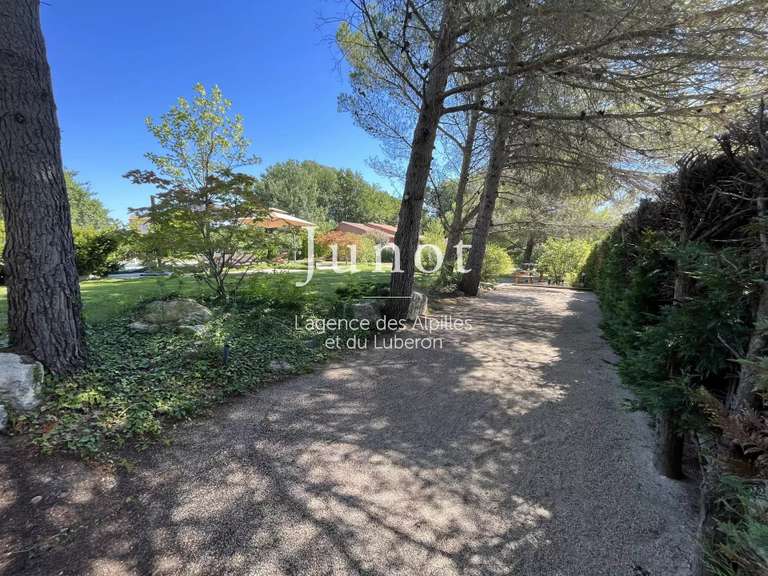 Maison Saint-Rémy-de-Provence - 6 chambres - 300m²