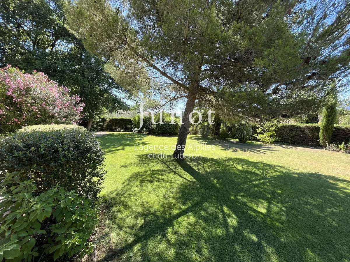 House Saint-Rémy-de-Provence