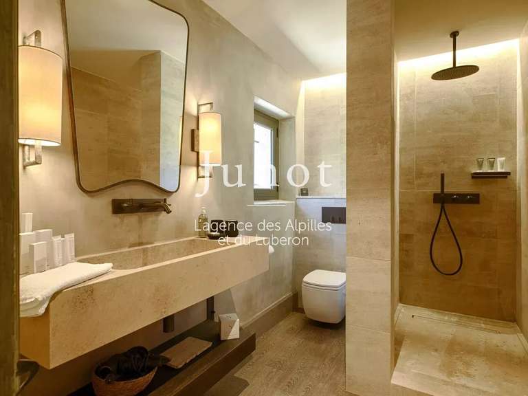 Maison Saint-Rémy-de-Provence - 5 chambres - 400m²