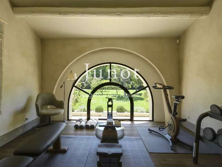 Maison Saint-Rémy-de-Provence - 5 chambres - 400m²