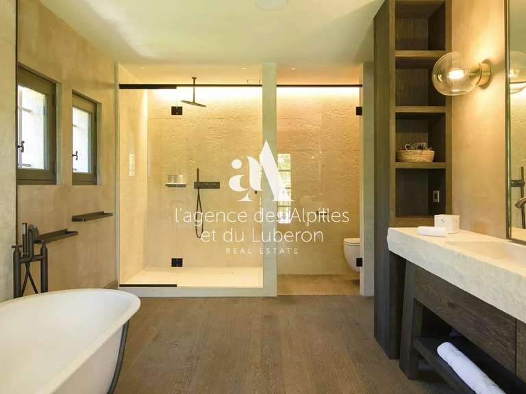 House Saint-Rémy-de-Provence - 5 bedrooms - 400m²