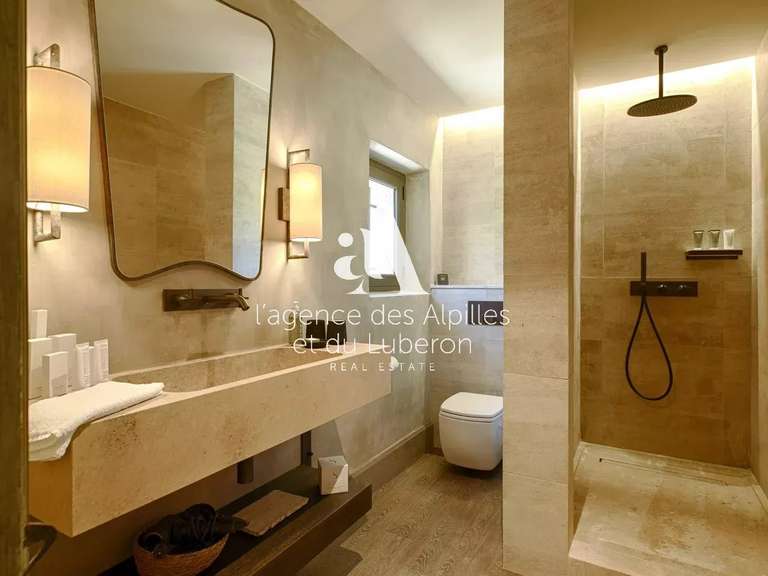 House Saint-Rémy-de-Provence - 5 bedrooms - 400m²