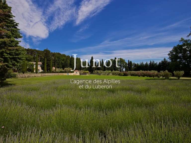 Maison Saint-Rémy-de-Provence - 9 chambres - 710m²