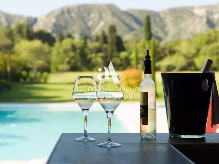 House Saint-Rémy-de-Provence - 7 bedrooms - 300m²