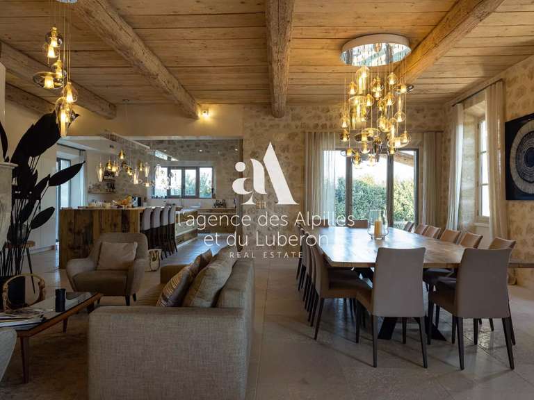 House Saint-Rémy-de-Provence - 7 bedrooms - 570m²