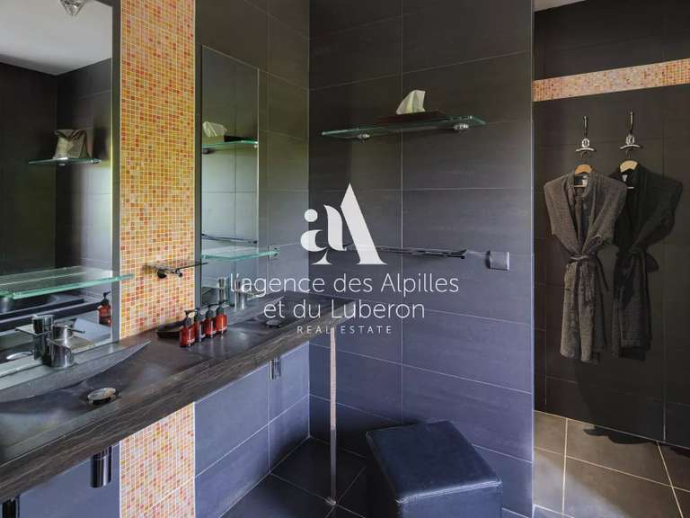 House Saint-Rémy-de-Provence - 8 bedrooms - 5000m²