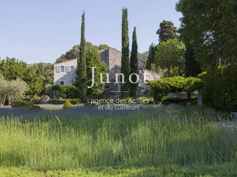 Maison Saint-Rémy-de-Provence - 6 chambres - 12000m²
