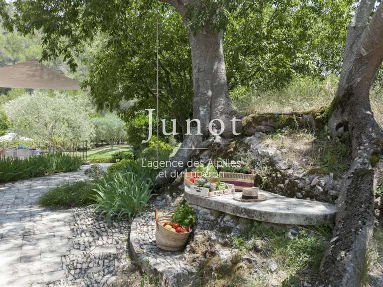 Maison Saint-Rémy-de-Provence - 6 chambres - 12000m²