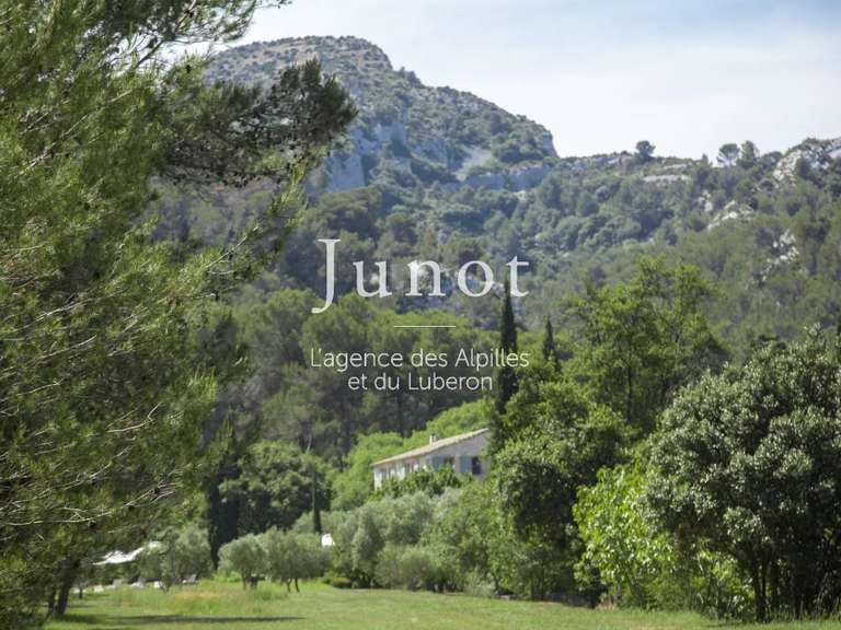 Maison Saint-Rémy-de-Provence - 6 chambres - 12000m²