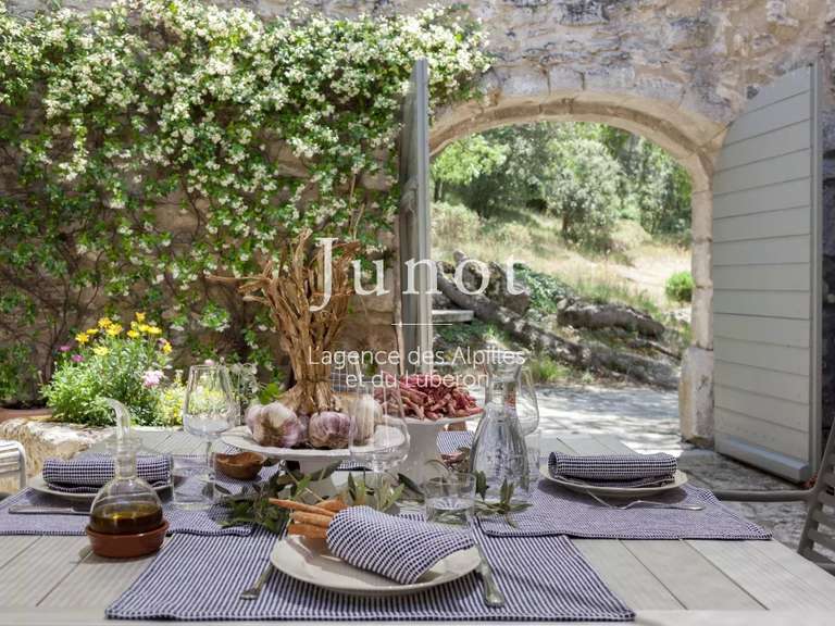 Maison Saint-Rémy-de-Provence - 6 chambres - 12000m²