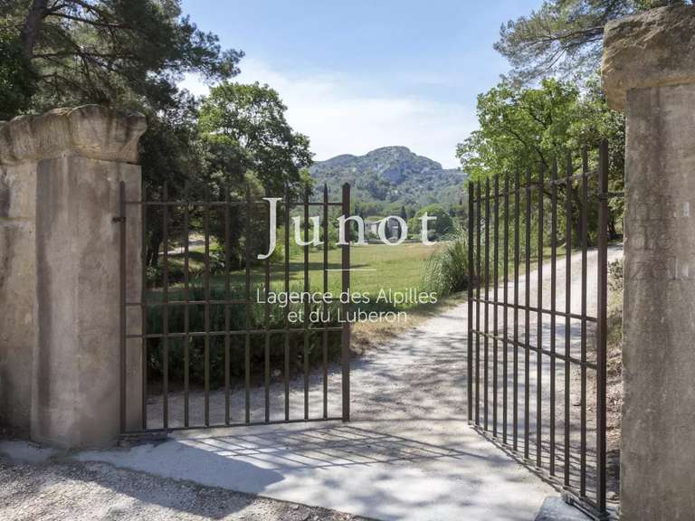 Maison Saint-Rémy-de-Provence - 6 chambres - 12000m²
