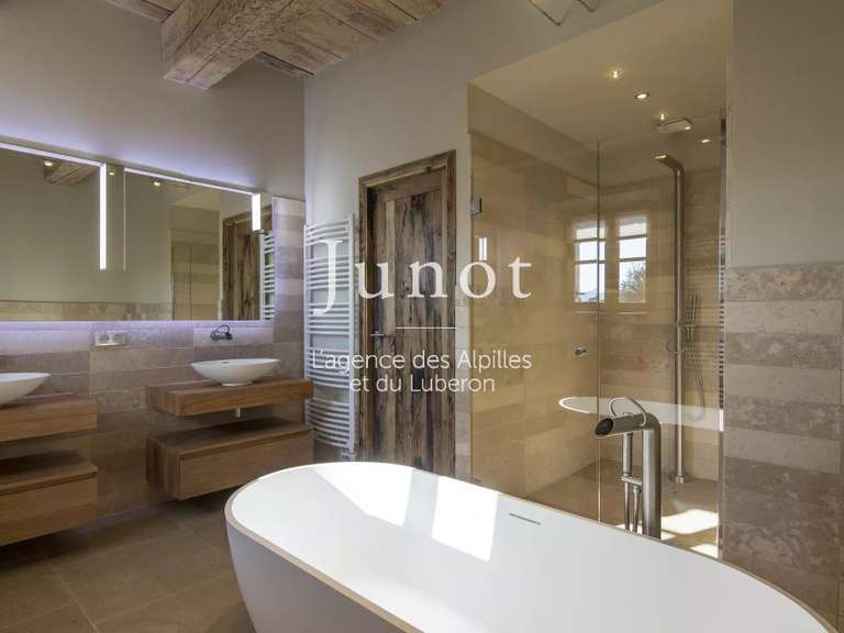 Maison Saint-Rémy-de-Provence - 5 chambres - 300m²