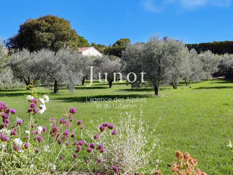 Maison Saint-Rémy-de-Provence - 5 chambres - 290m²