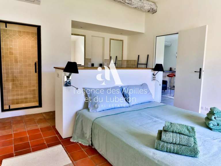 House Saint-Rémy-de-Provence - 5 bedrooms - 290m²