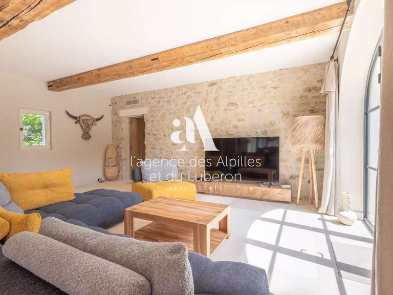 House Saint-Rémy-de-Provence - 4 bedrooms - 300m²