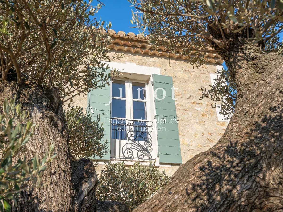 House Saint-Rémy-de-Provence