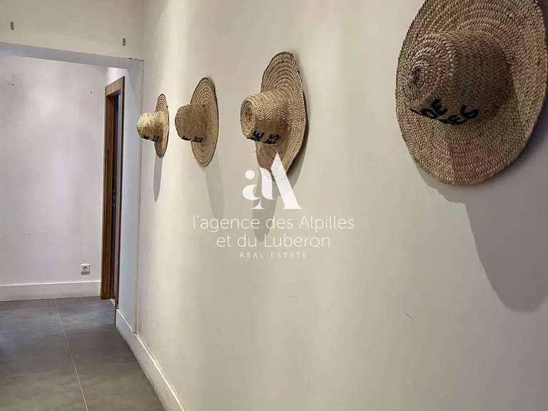 House Saint-Rémy-de-Provence - 7 bedrooms - 390m²