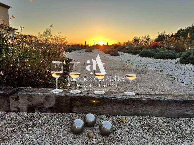 House Saint-Rémy-de-Provence - 5 bedrooms - 280m²