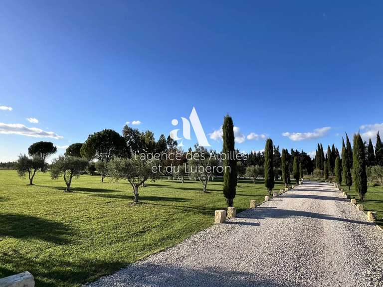 House Saint-Rémy-de-Provence - 5 bedrooms - 280m²