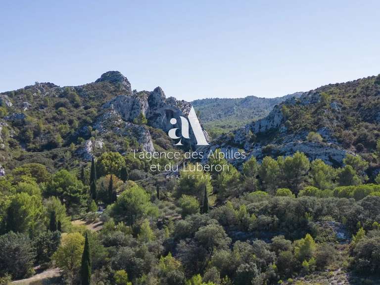 House Saint-Rémy-de-Provence - 8 bedrooms - 500m²