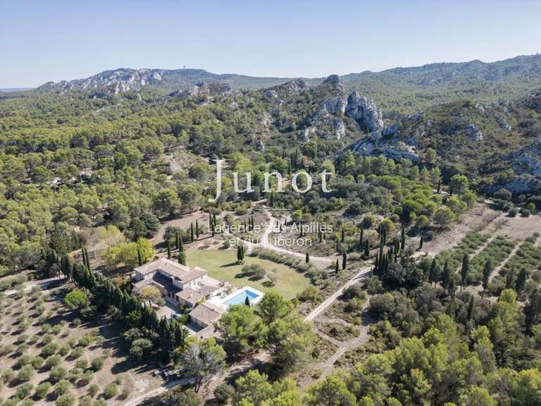 Maison Saint-Rémy-de-Provence - 8 chambres - 500m²