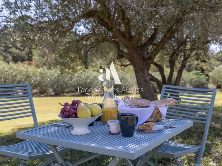 House Saint-Rémy-de-Provence - 8 bedrooms - 500m²