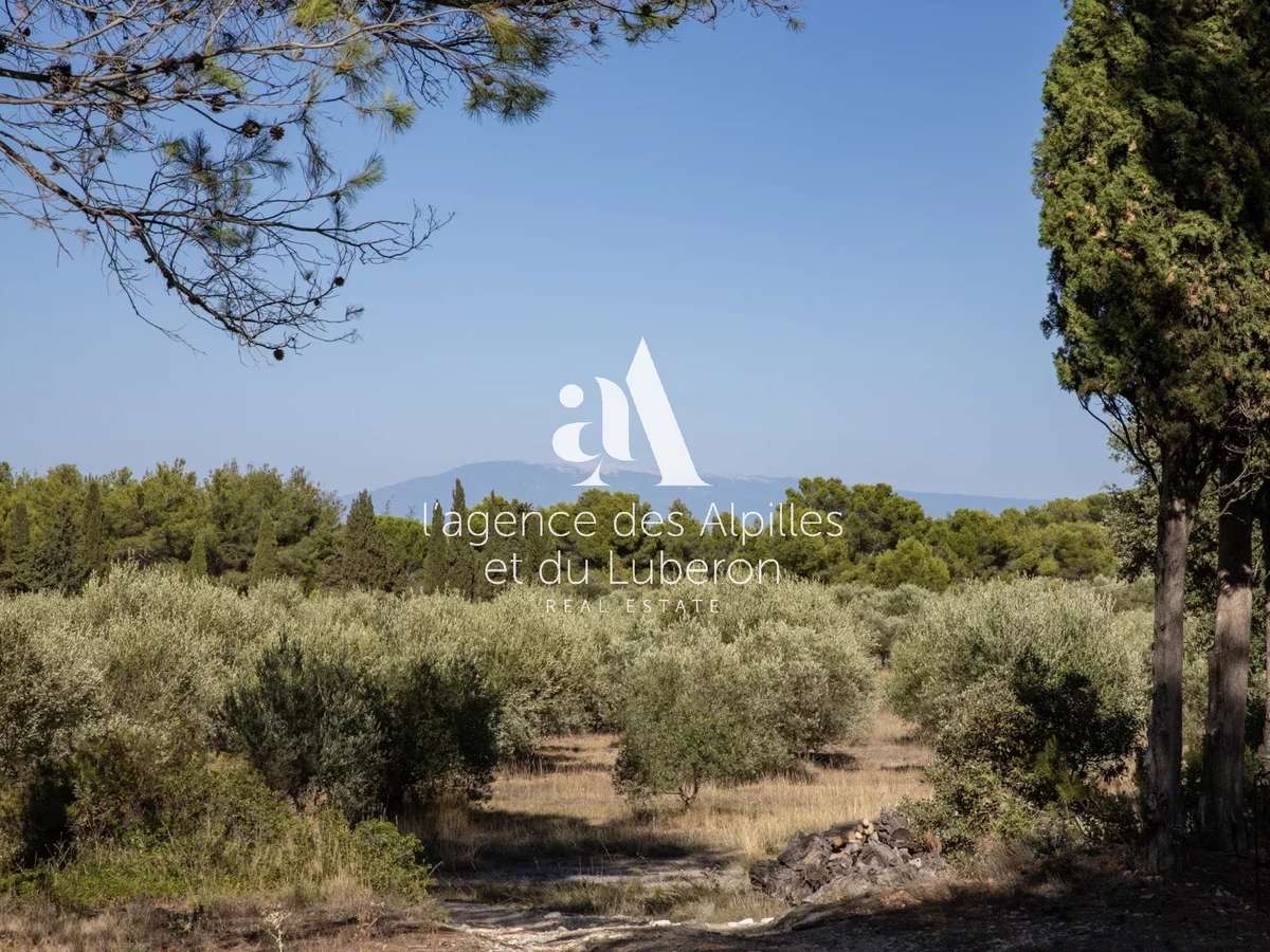 Maison Saint-Rémy-de-Provence