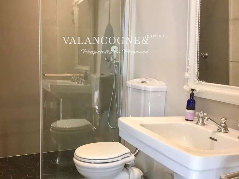 Maison Saint-Rémy-de-Provence - 7 chambres - 350m²