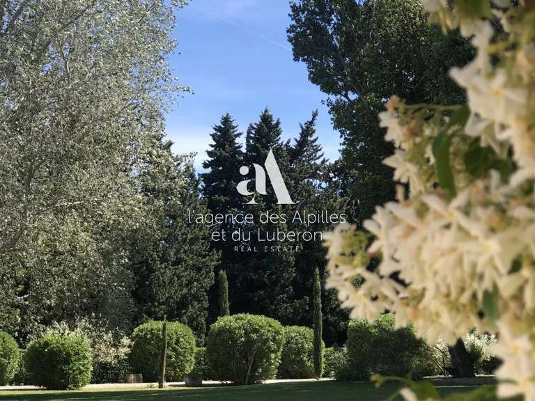 House Saint-Rémy-de-Provence - 5 bedrooms - 580m²