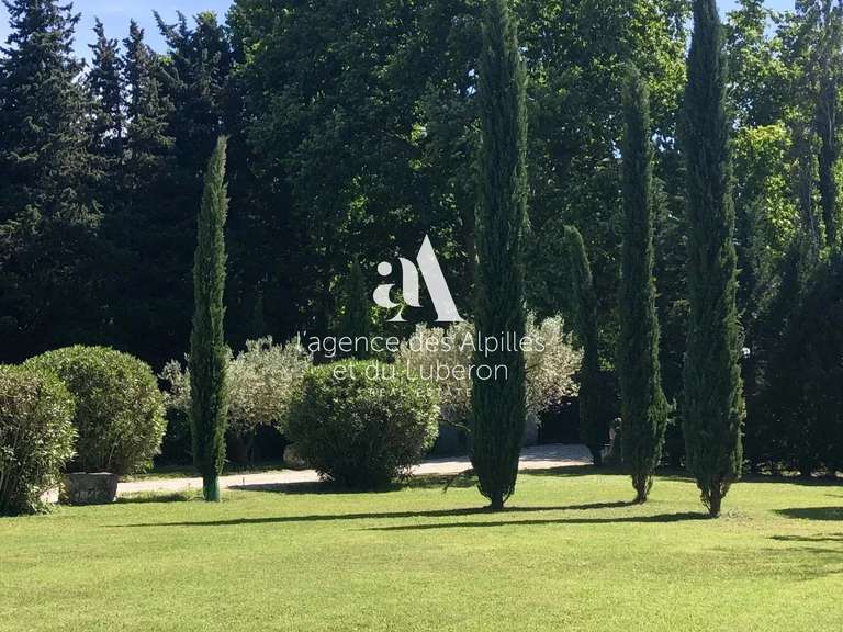 House Saint-Rémy-de-Provence - 5 bedrooms - 580m²