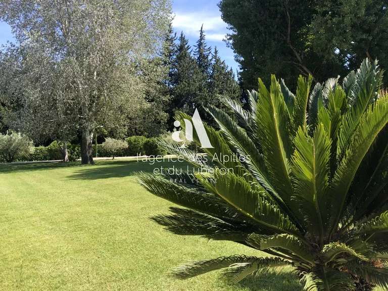 House Saint-Rémy-de-Provence - 5 bedrooms - 580m²