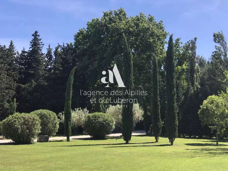 House Saint-Rémy-de-Provence - 5 bedrooms - 580m²