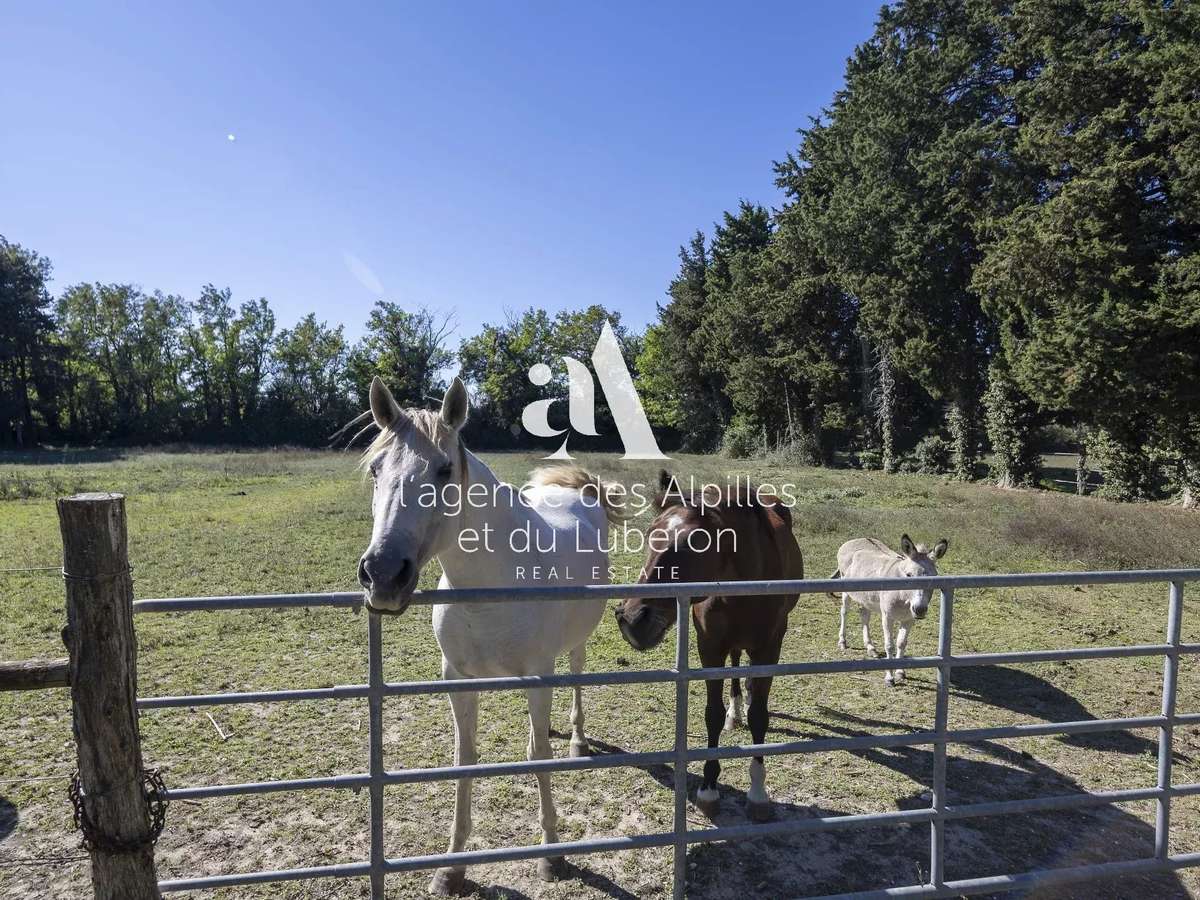 Maison Saint-Rémy-de-Provence